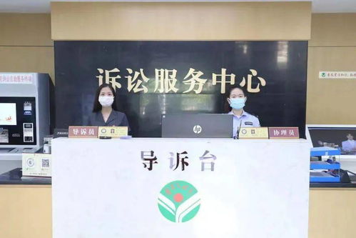 石獅法院打出“組合拳” 教育整頓辦實事，抗擊疫情與訴訟服務(wù)雙管齊下